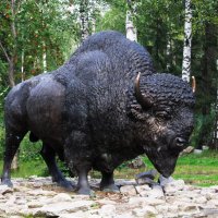 палеопарк :: Елена Шаламова палеопарк :: Елена Шаламова