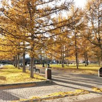 Осенний сквер :: Василий 