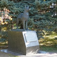 Памятник собакам - истребителям фашистских танков :: Сергей Беляев