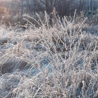 А недавно был октябрь :: Галина Минчук