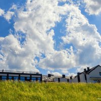 Небесная палитра :: Светлана Ищенко