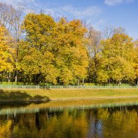 Золото Летнего сада :: Ирина Соловьёва