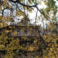 *** :: Валентина Береснева