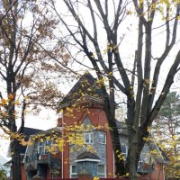 *** :: Валентина Береснева