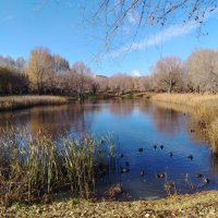 Самара. Парк Воронежские озера :: Надежда 