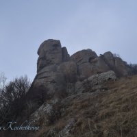 Природа Крыма :: Amazing Cosmea