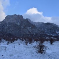 Природа Крыма :: Amazing Cosmea
