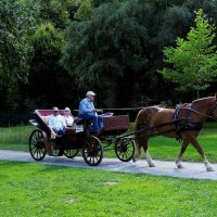 Прогулка :: Владимир Манкер Прогулка :: Владимир Манкер