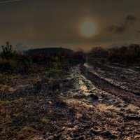 постапокалиптическая картина :: Артём 