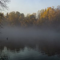 *** :: Игорь Протасов