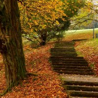 Ступеньки в осень :: Юрий. Шмаков Ступеньки в осень :: Юрий. Шмаков