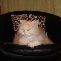 Персик :: Венера Чуйкова