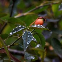 На Машуке облако 3 :: Павленко Михаил 