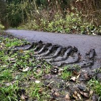 Разные дороги) :: Любовь 