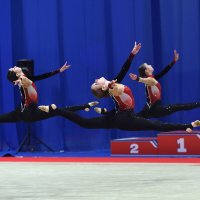 Красота, Грация и Мастерство! :: Александр Гриднев