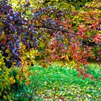 Красочный уголок в центре города :: Aida10 