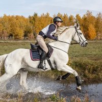 Кросс :: SanSan 