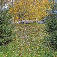 Осень в городе :: Валерий Иванович