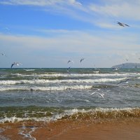 Чайки) :: Татьяна Лютаева Чайки) :: Татьяна Лютаева