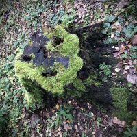 Маски- шоу) :: Любовь Маски- шоу) :: Любовь