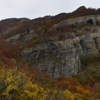 Природа Крыма :: Amazing Cosmea