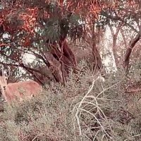 13  ОПЕН (610) :: OPEN WAYS ALL