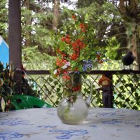 Благословенный июнь :: AleksSPb Лесниченко