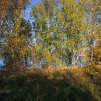 Природный пейзаж осень около реки :: Александр Синдерёв