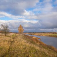 **** :: Елизавета .