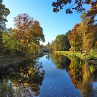 осень :: ИННА ПОРОХОВА