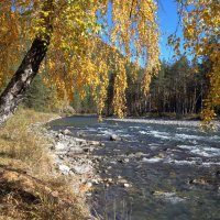 *** :: владимир 