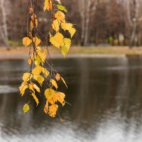 Осенняя :: Александр 