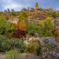 Осенняя палитра :: Светлана Ищенко Осенняя палитра :: Светлана Ищенко
