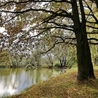 Осень :: ZNatasha - Осень :: ZNatasha -