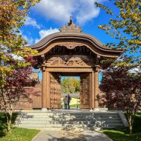 Краснодар. Парк Галицкого. Японский сад. :: Galina 