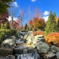 Краснодар. Парк Галицкого . Японский сад :: Galina 