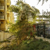 Актау :: Анатолий Чикчирный Актау :: Анатолий Чикчирный