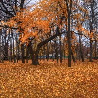 *** :: Сергей Григорьев