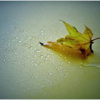 ЛИСТ... :: Elvira E. 