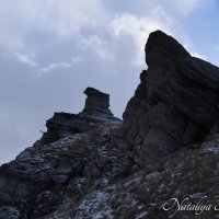 Природа Крыма :: Amazing Cosmea