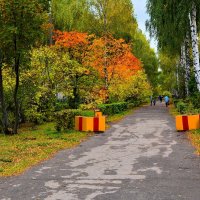 Новочебоксарск. Аллея ветеранов Великой Отечественной войны осенью. :: Пётр Чернега