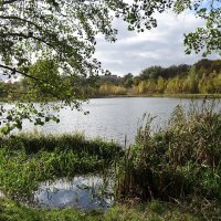 Озеро Лесное, Калининград :: Рита Симонова Озеро Лесное, Калининград :: Рита Симонова