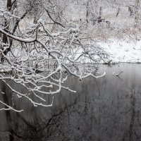Отражения зимы :: Евгений Тарасов 