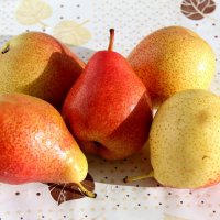 Груши :: Владимир Помазан