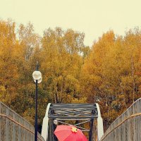 Осень в Подмосковье :: Дмитрий