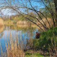 Река Темерник. :: Александр 