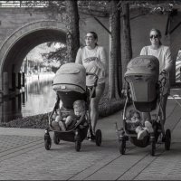 Прогулка :: **** vedin Прогулка :: **** vedin