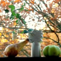 Осенний натюрморт :: Елена Осенний натюрморт :: Елена