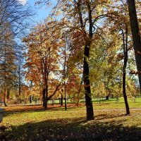 осень :: ИННА ПОРОХОВА осень :: ИННА ПОРОХОВА