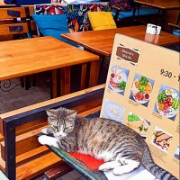 КОНСУЛЬТАНТ :: Анатолий Малобродский